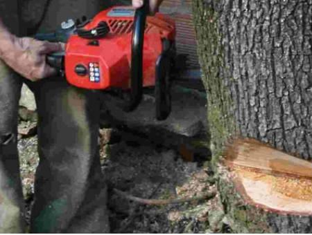 17f4d294a2a05161ea02a12b4f8d51ba