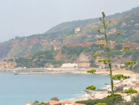 185e91604312a08f69c6b2f19b3ce693