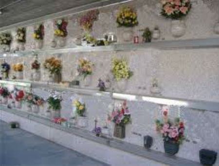 19399132266cbe72edfcfa9afdb70525