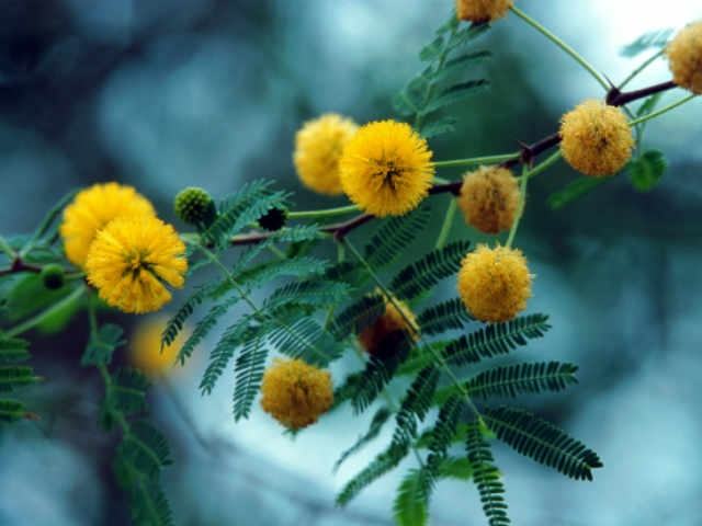 1ad0cda0b78013d5416841bcb457fbc2