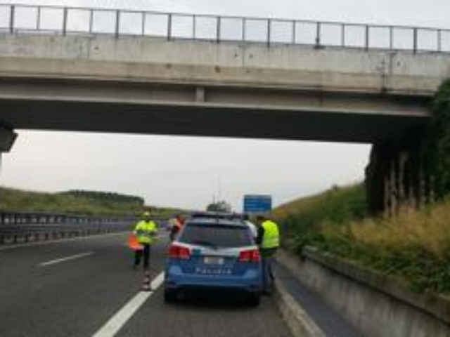 1ae33c49fcbe0f3951e9d880427debd0