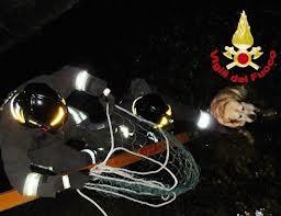 1b5dd2bb4ba1d15f038b3993fcecc4d0