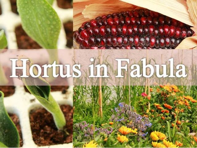 1de68a6604fa1f96e6428e1653bdee28