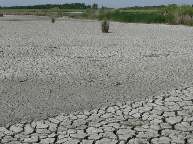 1df239275e5f6d67099a254b5b97e683