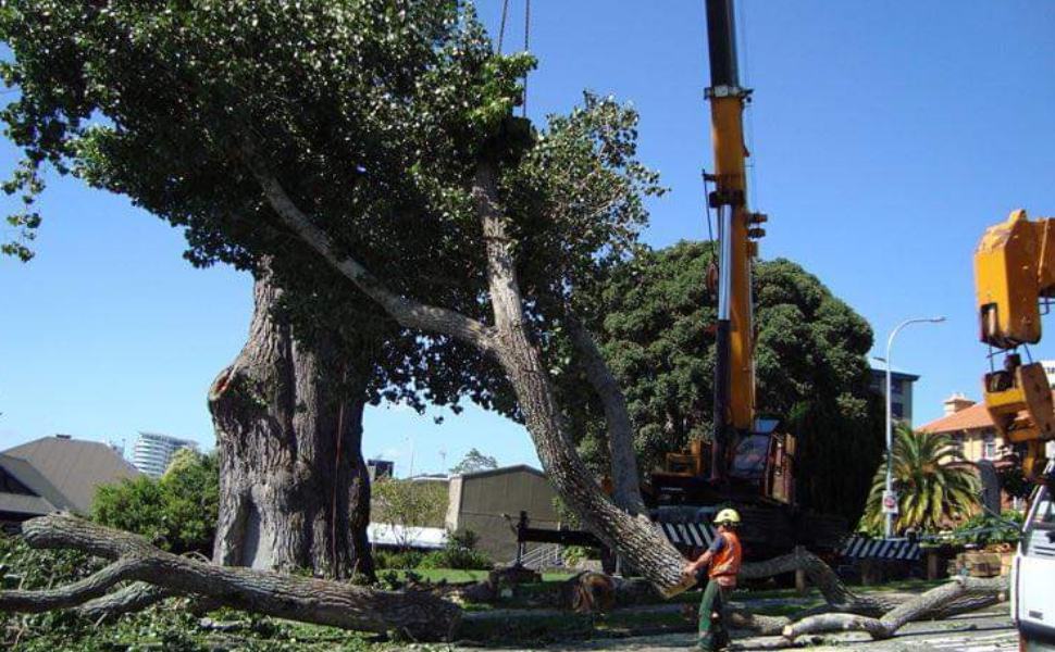 1ed5ed00 1059 48d1 bd36 d549d2eb26c6