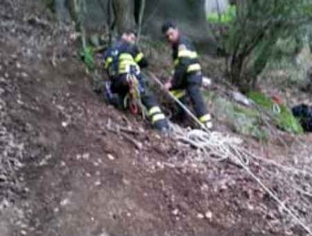 1f01b1faded7edc8b67de8482ca0c03d