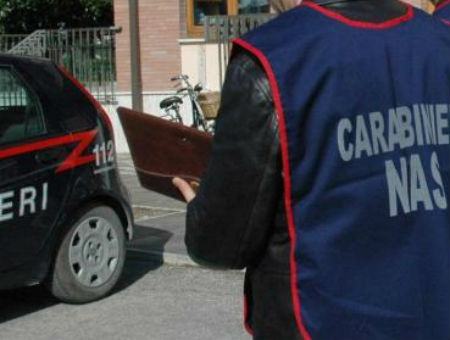 Sequestrata rivendita di animali e denunciato falso veterinario 51 1f0be81c17bc550c5e9d7d1486b23477