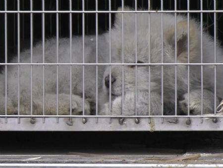 1f6d02a07204e7f91dee222a6c15654e