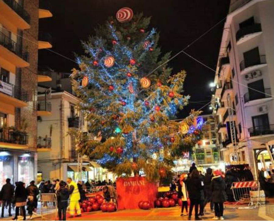 Cosenza, accensione dell'albero di Natale 53 2017 albero di natale cosenza
