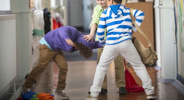 2020745 ace0bd7fba5cdc3ed86268b89982ba4c 1