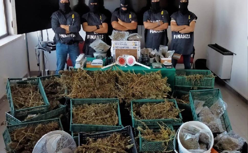 Avevano trasformato casa in un laboratorio per la droga, due arresti 51 2021 laboratorio marijuana crotone 1