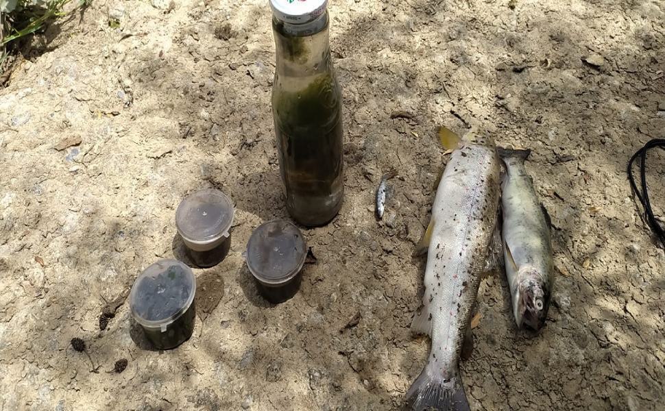 205015307 10215827999571680 8060314031171785263 n 1