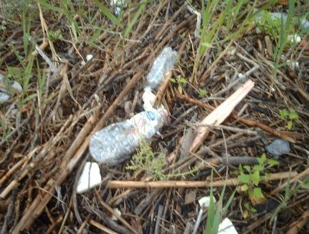 21431b4a4a3ecc46a2245d81c7140e3b