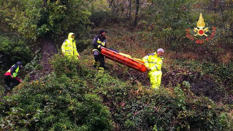 21491d12 b246 44e8 a365 e46e3d389ba0