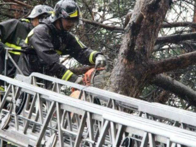 217c201d63aeec18cf1e2325bbd35a61