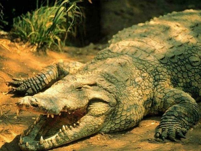 21cd44d0e34ef3db77e3e52e63e0f23d