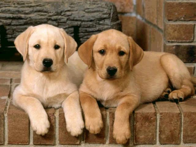 21fe60bc7f73c177e7a30af7e591bd0c