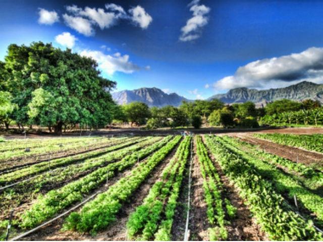 234a73c119a9344bceffcc76916c1e58