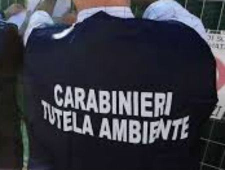 2466013e6b4e85281ca3f47bc8c001f1