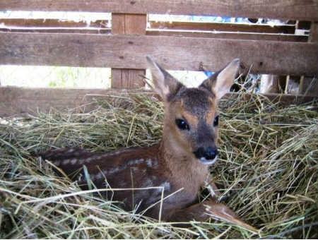 246e426e34580a1d4a226ddda7b795b1