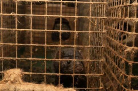 249608b2b123898e7b303b5ed6f26d4b