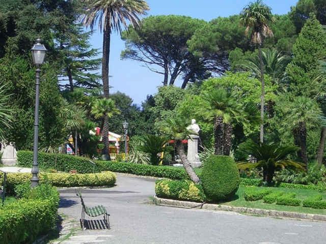 249e3552187a7446acf91101f0e3ac95