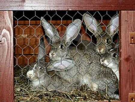 24d5423d0f496591b6762acba305dc3d