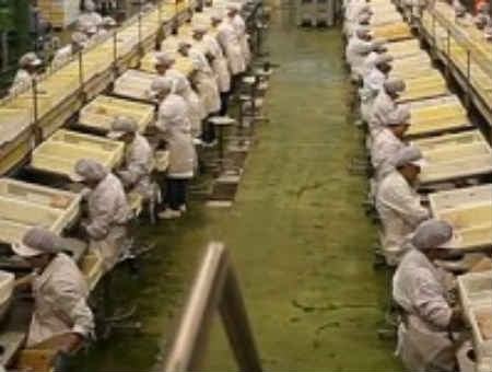 Cinque miliardi di euro per il lavoro in Calabria, ma la Regione li 'perde' 79 2503b8c970880863f8f917e11ac138bb