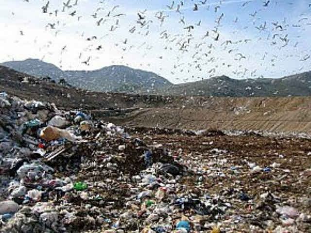 2685d8f34cec72f956c91ce6c5d208be