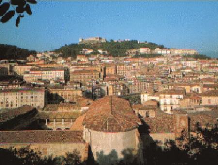 26e8e2b6c9d4dfcef4f0e4dc0a5ec8d6