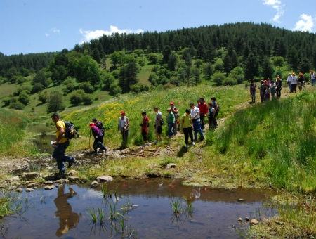 26fa4a961aeee18b67578b1b22cd2f88