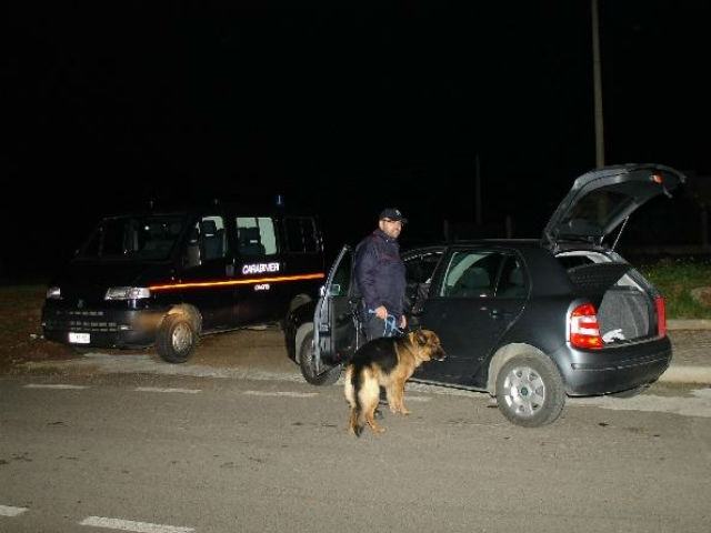 272e2b773a5b8150a49ee66a26189a3d