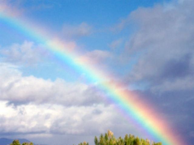 27674a1e53a2525ac4673f4de7be2c05