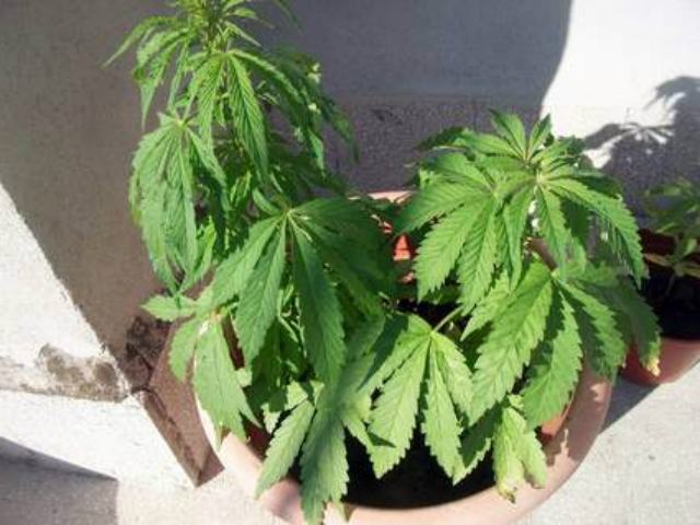 27c3658d0e6f75100fff3d4d420d2d75