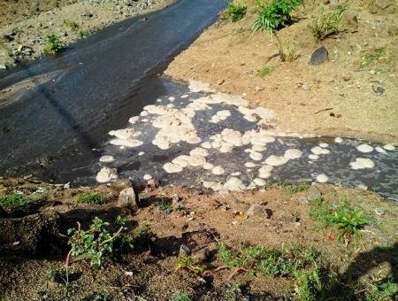 283d07c38c0fa2a532e9add4b87d27eb