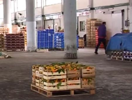 28bce8d0db83d2e6a2d9edb84f407897