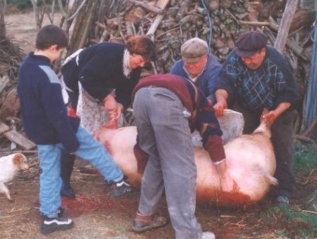 295d3763aa19315ca1c7c8ea1d1d731b