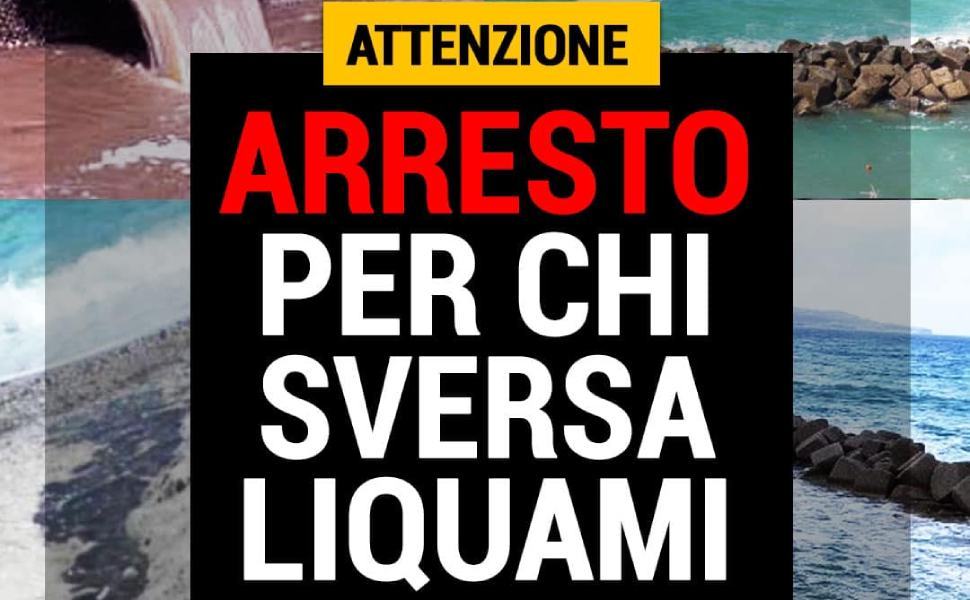 296246650 592650908895329 6424201277001259742 n