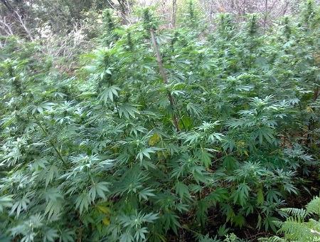 29e297ea03d5d2432bf7f52f1719b1b1