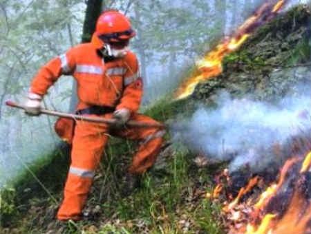 2a615e19246225b6393ab24a9c5f567a