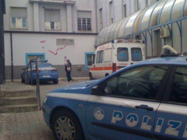 2a7c5a55d24475c5674a6cabf9d5e3d4