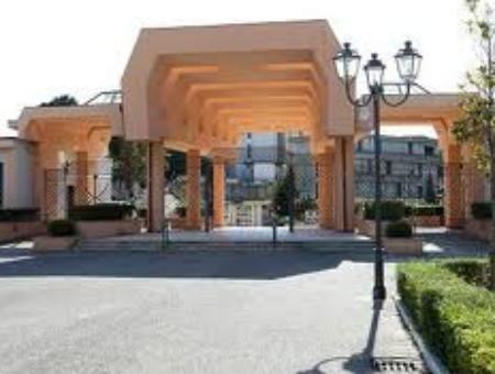 2aa3663c20feb1cfc0d1ecdd6dc8c800