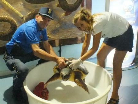 2b8affd6570fd6f89a77b265c81d4f01