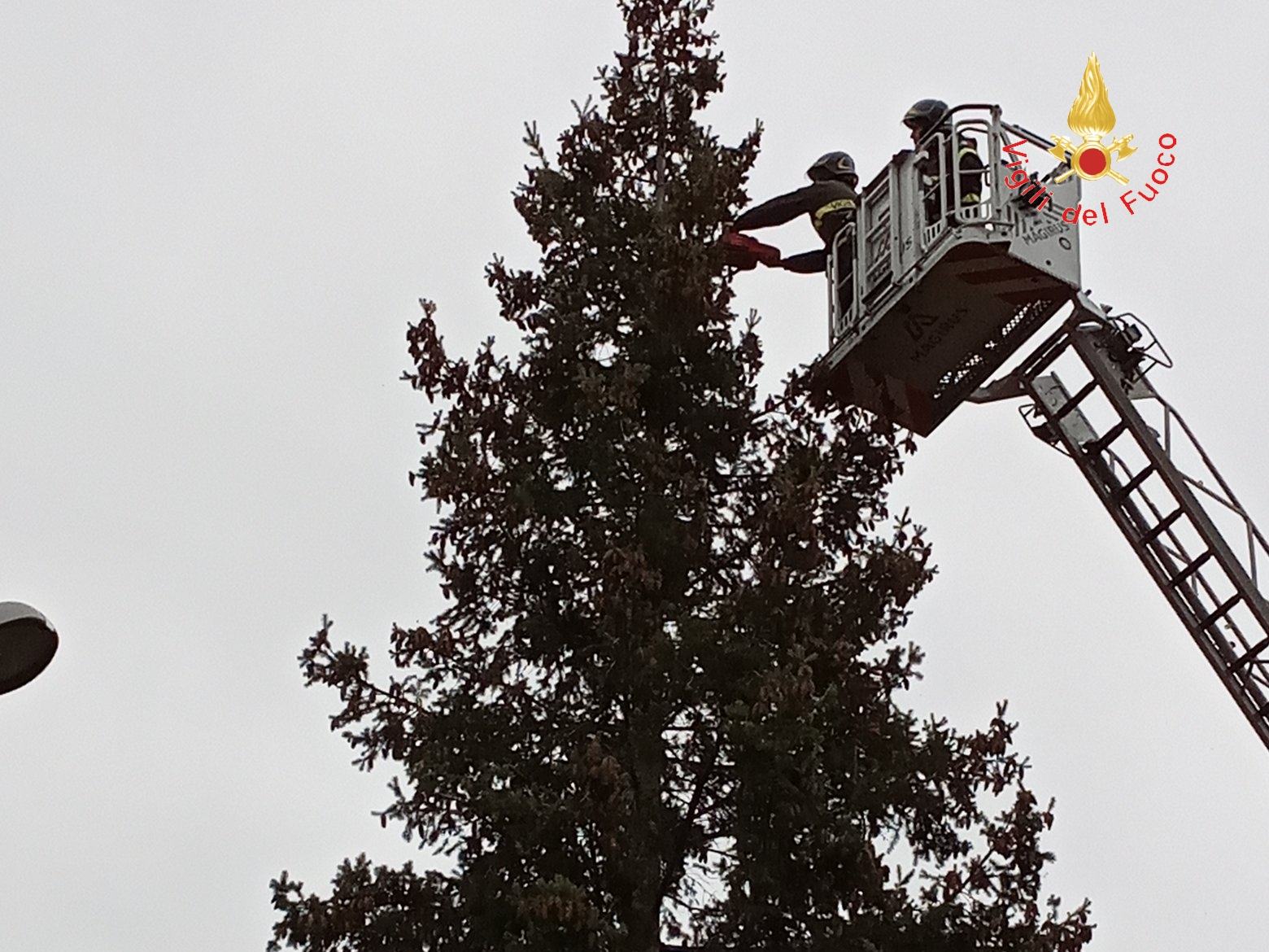 2bc9857f cc1c 440a 9733 2861e515efa9