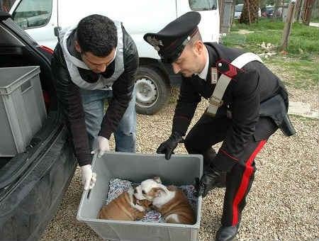 2bdc1a30c04ca92841a0eb258b65f757