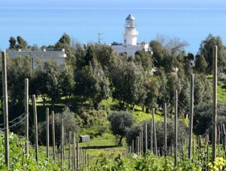 2d8bd754419f63f1ed35d20234a47e79