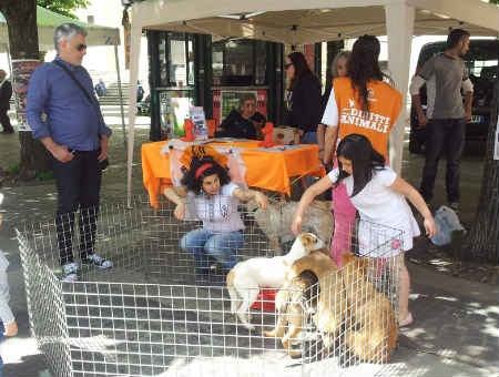 2e44b6dae4f14caeaae4636483b6e1e3