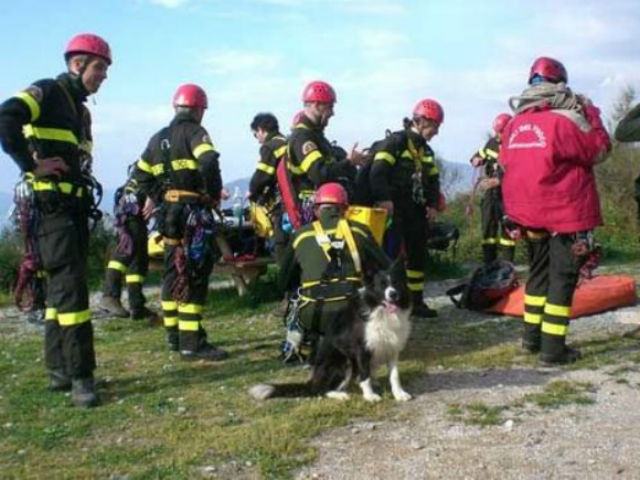 2e83d7bc595a142d5b8cc7504455fc0e