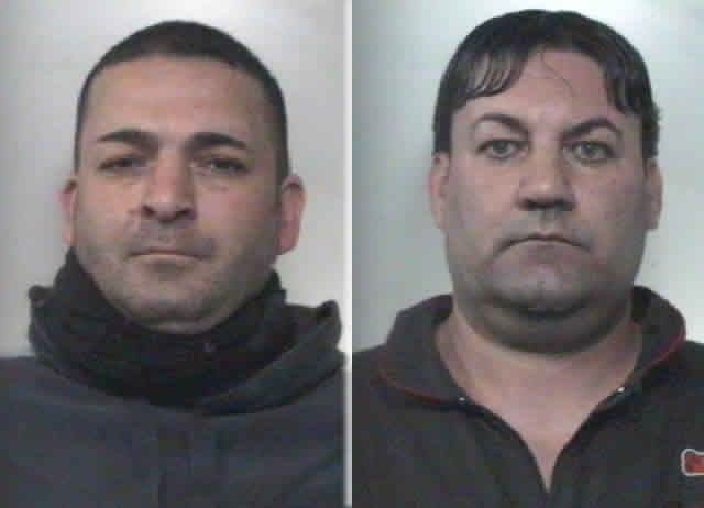 2e914dfc4157c569836c5529982d9010