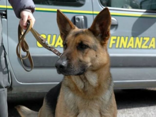 2eb605de8aa9f12887d6024248705bbc